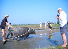 ទួរទេសចរណ៍ធ្វើជាកសិករ។